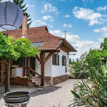 Pajta Apartament
